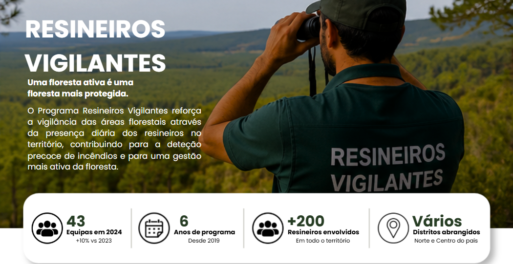 Captura de ecrã 2026-06-29 193103