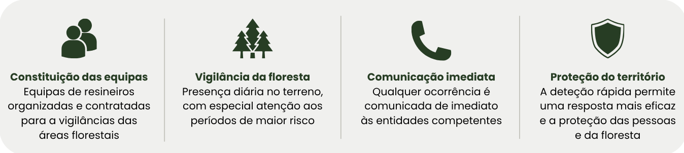 como funciona