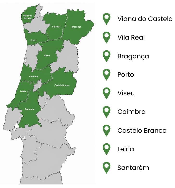 Formas de Resinagem